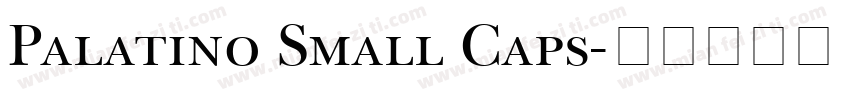 Palatino Small Caps字体转换